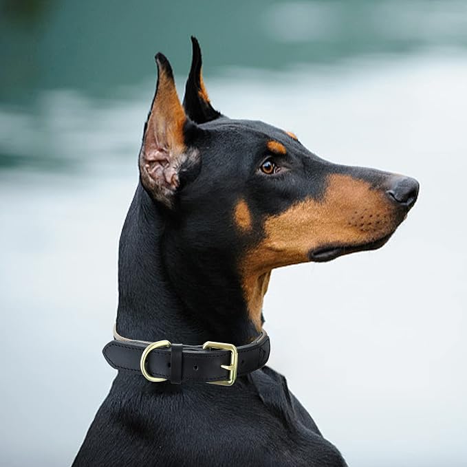 Mile High Life Genuine Leather Dog Collar, Heavy Duty Canvas Collar with Adjustable Metal Pin Buckle for Small Medium Large Dogs (Black, L Neck 17"-21")