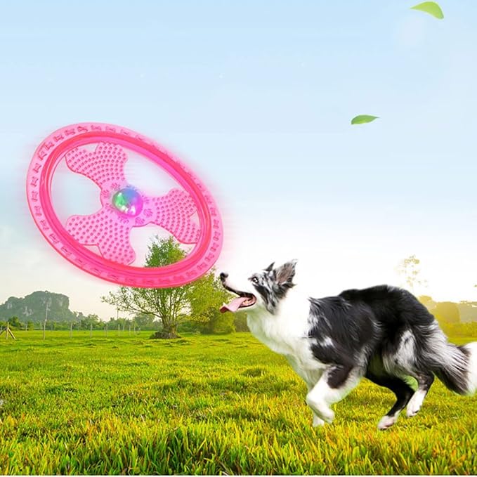 Flying Disc Dog Sport Toy with Flashing LED Lights, Light Up Pet Disk for Ultimate Night Time Play, Blue