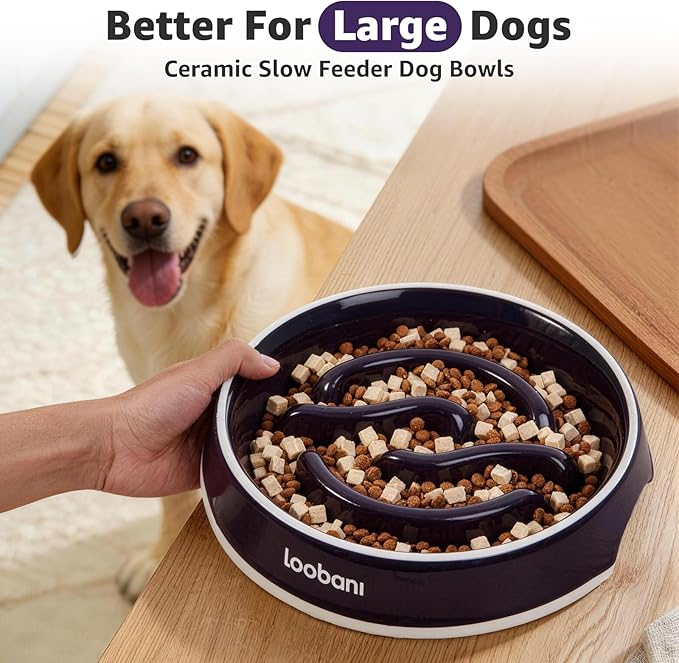 LOOBANI Ceramic Slow Feeder Dog Bowl for Large Dogs 10.2" W- Slow Eating, Perfect for Labradors, Goldens & Huskies for Medium & Large Dogs (L, Purple)