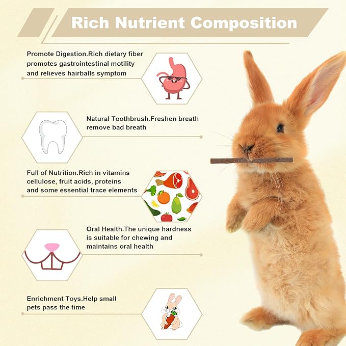 500g Apple Sticks Small Animals Molar Wood Treats Chew Toys for Rabbits Chinchillas Guinea Pig Hamster Gerbil Parrot Bunny Chews Stick Toys