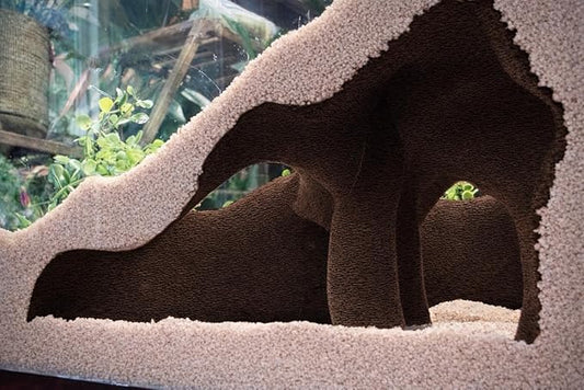 Aquarium & Terrarium Corner Underground Cave – Faux Mangrove Root Hideout for Betta, Corydoras, Shrimp, Geckos & Snakes – Natural-Look Tank Decor in Textured Root Style (Dark Chocolate, 7.5"x7.5"x4")