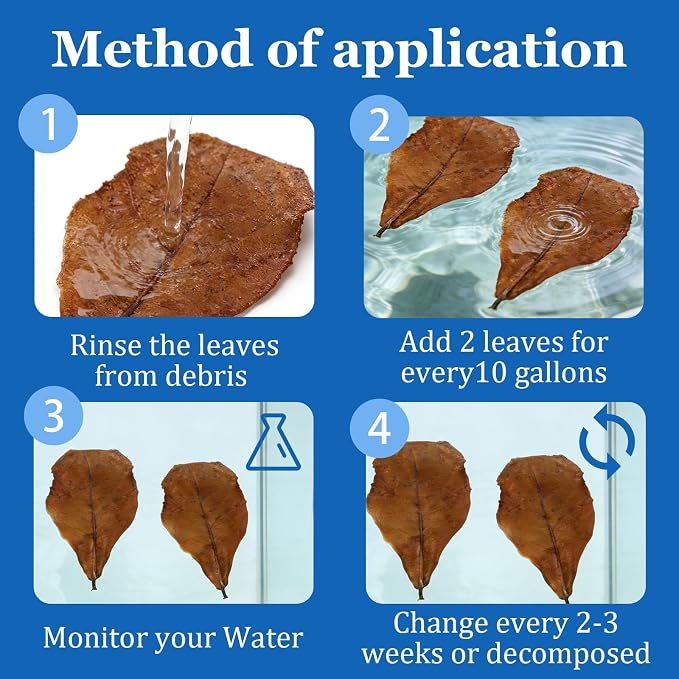 20Pcs Catappa Indian Almond Leaves Aquarium Decor Water Conditioner | Sealed Package,for Betta Fish Shrimp Goldfish Guppy,Betta Fish Tank Decor,Balance PH,Natural Tannins,Axolotl Tank Accessories