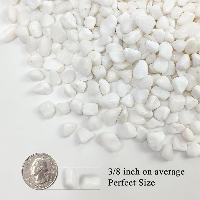 FANTIAN 5 lbs White Pebbles for Indoor Plants, 3/8 Inch Decorative White Gravel, Polished River Rocks for Potted Plants Vase Cactus Bird Bath and Outdoor Garden Landscaping