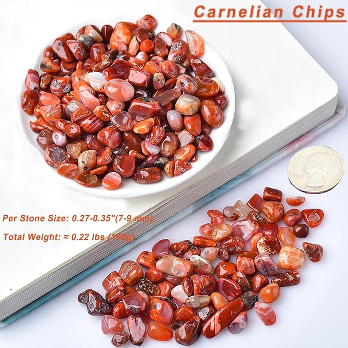 Erliway 100g Natural Carnelian Crystal Chips 7-9mm Tumbled Stones | Small Crushed Crystal Stone, Polished Crystals Chips for Fish Tank, Healing Tumbled Rocks for Reiki Jewelry Making Home Décor