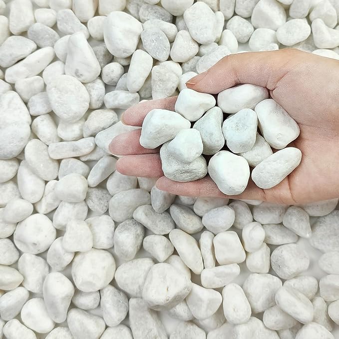 FANTIAN 20 lbs White River Rocks for Landscaping, 0.5-1 Inch Pebbles for Indoor Plants, Decorative Stones for Succulent, Cactus, Vases, Aquariums, Crafting and Garden