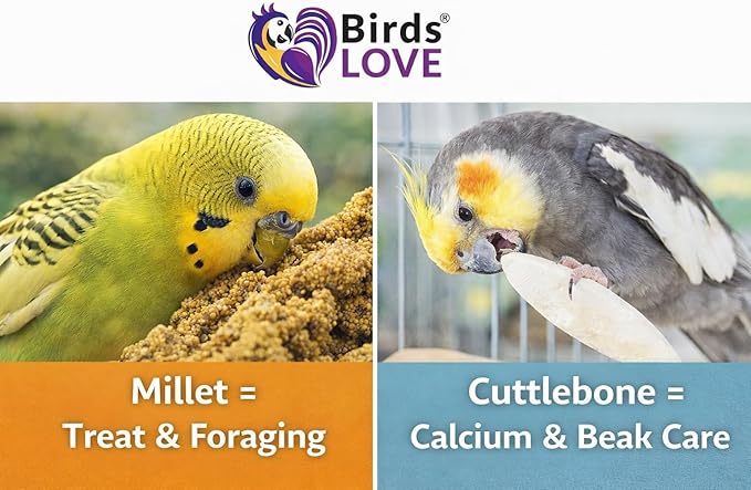 Farm to Feathers™ Economy & Thin Spray Millet with Cuttlebone Bundle – USA Grown Millet Sprays for All Birds, Cockatiels, Lovebirds, Parakeets, Finches – 7 Ounce (Pack of 1) + 4" Cuttlebone (4-Pack)