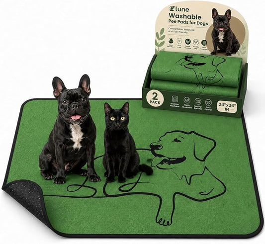2 Pack Washable Pee Pads for Dogs 24"x36", Reusable Training Puppypads Absorbency Non-Slip & Leak-Proof for Pet Whelping Box Playpen Crate Sofa Bed Floors (Green)