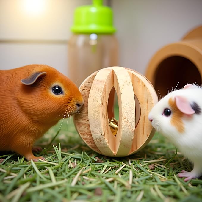 Jinshining 1pc Wood Color Natural Wood Dumbells Unicycle Bell Roller Pet Chew Toy for Guinea Pigs Rat Rabbits,Guinea Pig Toys Boredom,Small Animals Will be Very Happy Toys(No Bark Watermelon Ball)