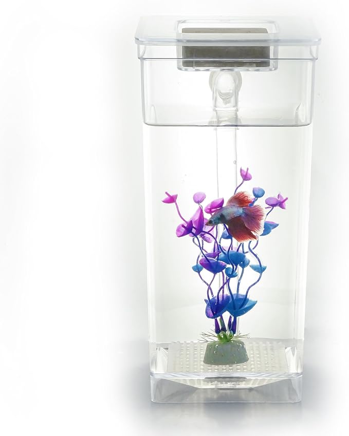 My 1st Fish Tank™ : Gen 2, Mini Fish Tank Aquarium Starter Kit 1 gal, Professional for Betta, Easny Maintain, Self Cleaning System-Only Add Water, Beautiful Color Changing LED Light, Color Box