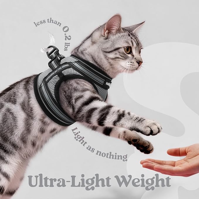 rabbitgoo Cat Harness and Leash Set for Walking Escape Proof, Adjustable Soft Kittens Vest with Reflective Strip for Cats, Comfortable Outdoor Vest, Grey, S