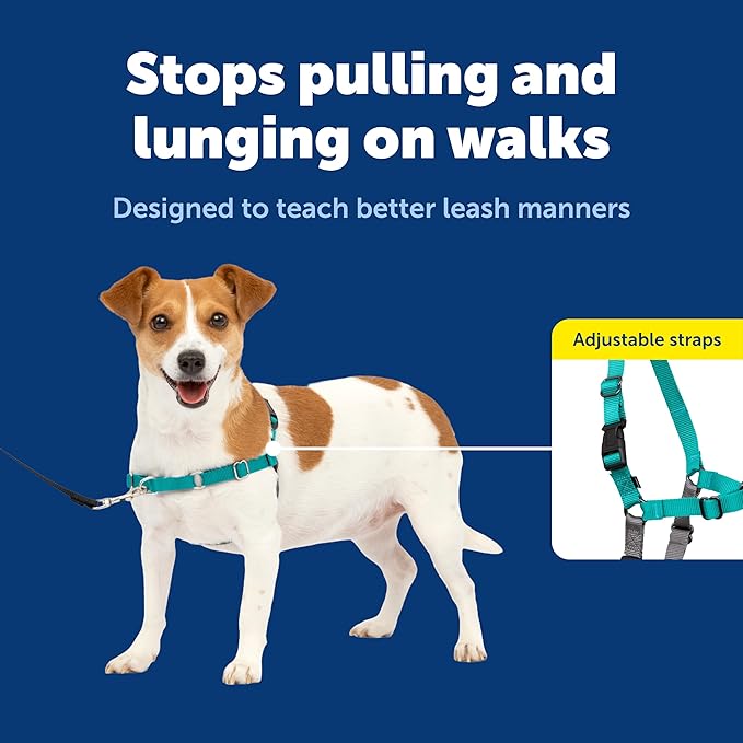 PetSafe Easy Walk Harness for Dogs - Pull-Free Walks - Patented Martingale Loop Design - Front Chest Leash Attachment - Comfort Straps - Breathable Harness Design - Small, Teal/Gray