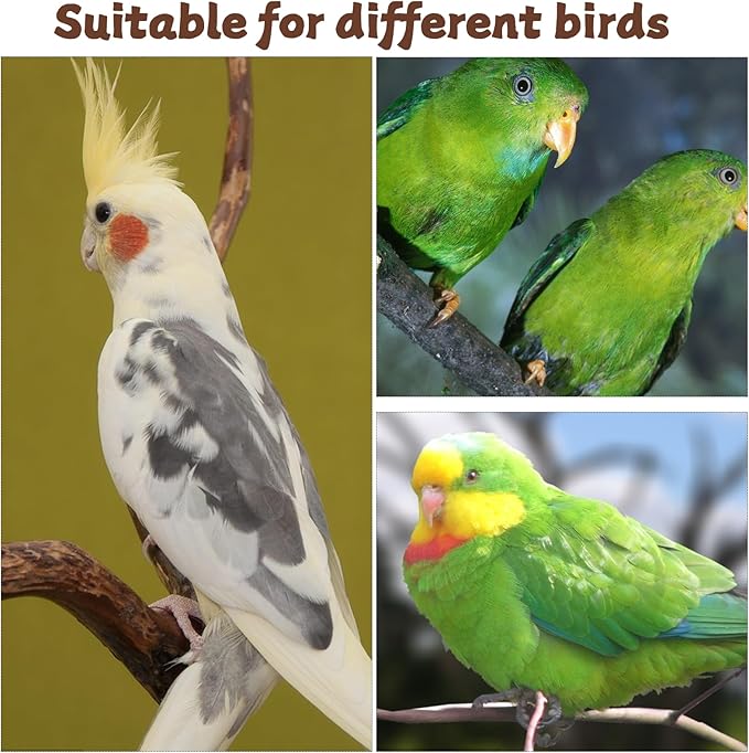 4pcs Bird Diaper Reusable Flight Suit Parrot Nappy with Waterproof Inner Adjustable Straps Pet Bird Diaper Birds Clothes for Parakeet Cockatiel Mini Macaw Budgie Canary