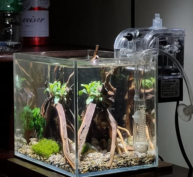 AWXZOM Small Nano Rimless Tank, Clear Glass Fish Tank, 1.1 Gallon, 7.8x5.5x5.9inch/20x14x15cm, Betta Fish Tank