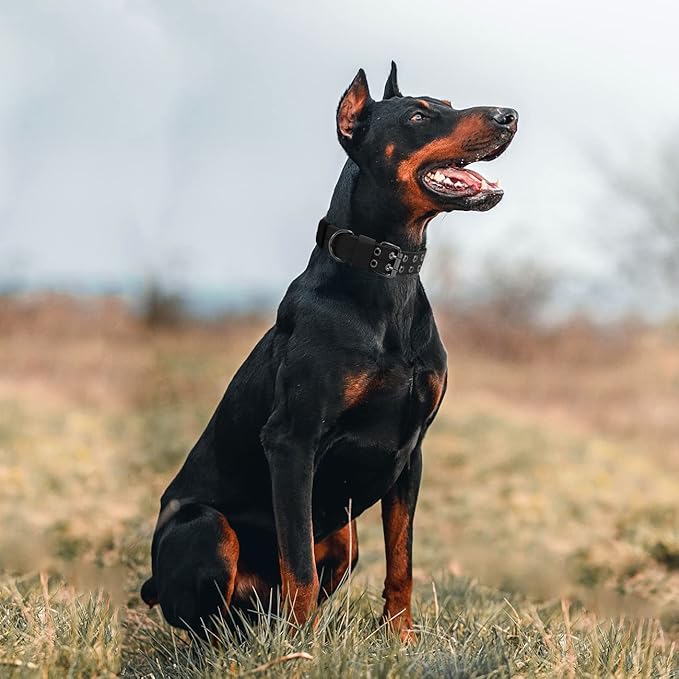 Tactical Dog Collar Military Adjustable Dog Collars Soft Nylon Training Collar with Patch Heavy Duty Metal Buckle Collars for Medium Large Dogs (Black, XL)