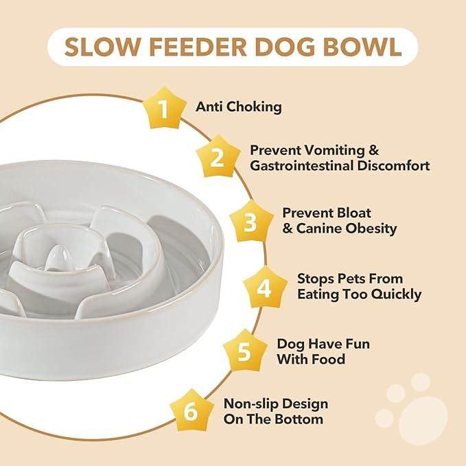Havniva Elevated Slow Feeder Dog Bowls, 1.6 Cups/8.2 inch Slow Feeders + 7.3 inch Ceramic Dog Food & Water Bowls Set with Acacia Wood Stand Puzzle Bowls for Fast Eater, Medium Dogs Anti-Choking