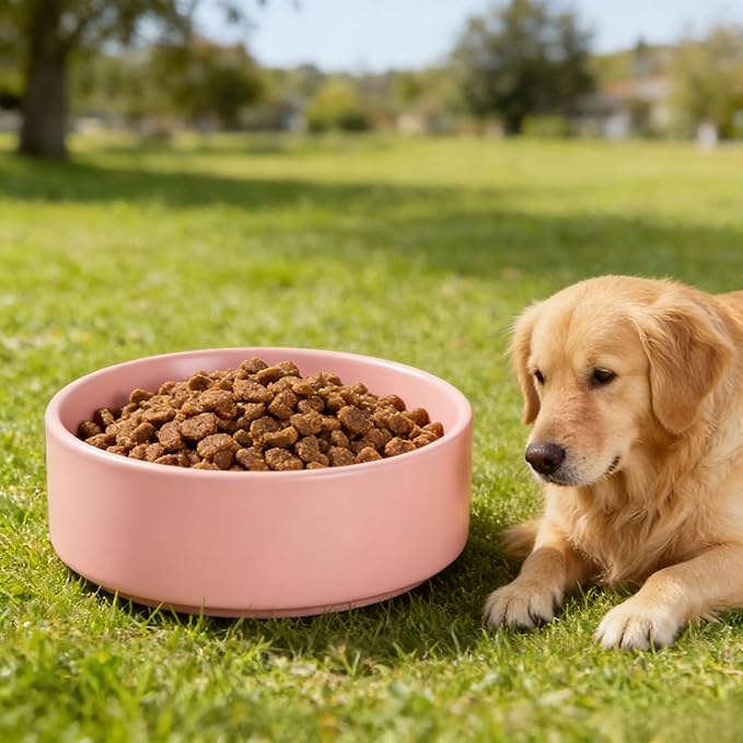 61 oz Ceramic Pet Bowl, Non-Slip Anti-Skid Base, Easy Clean Food & Water Feeder for Large Dogs & Cats – Pink