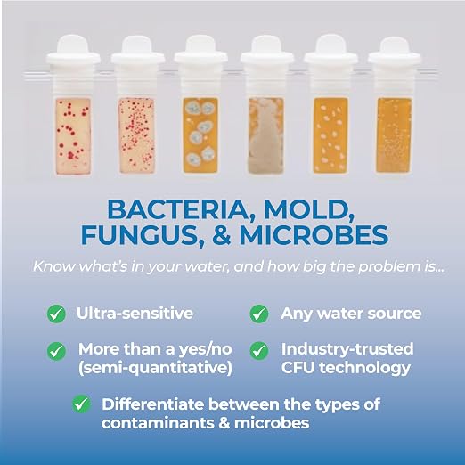 Detekt® Bacteria in Water Test Kit - Drinking, Tap & Well Water - 72 Hrs