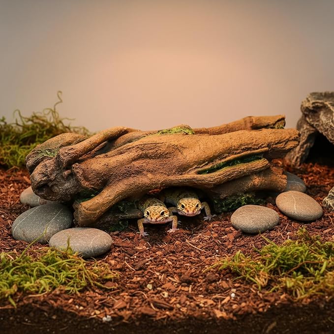 JIHAQUA Aquarium Resin Bark Terrarium Decor Lizard, Snake or Reptile Hide | Spider and Aquarium Fish Hide Cave