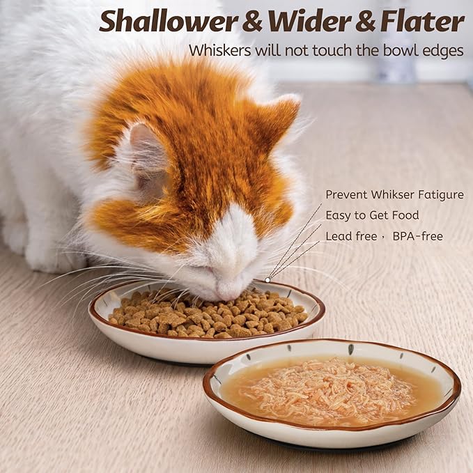 WROSWT Clock Cat Food Bowl,Non-Slip Silicone Bottom Cat Bowls for Indoor Cats,Anti Whisker Fatigue Cats Dishes Set,Shallow Wide Kitten Plates for Food and Water,3 Pack