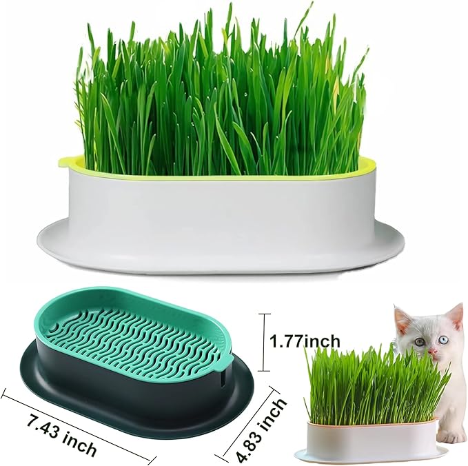Cat Grass Planter (No Seeds Included) Hydroponic Wheatgrass Planting Trays Cat Grass Growing Kits for Indoor Cats Soilless Organic Nursery Box Pet Grass Pot (Pink)
