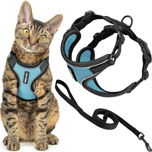 Voyager Escape-Proof Step-in Lock Cat Harness & 5ft Neoprene-Handle Leash Set All-Weather Mesh with Reflective Stitching for Small to Large Cats by Best Pet Supplies, Black Trim-Baby Blue (327), S