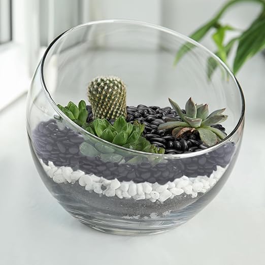 Pulovin 5 lbs Black Pebbles for Indoor Plants, Succulent, Bamboo, Vase, 3/8" Plant Rocks for Pots Indoor, Small River Rocks Decorative Pea Gravel, Highly Polished
