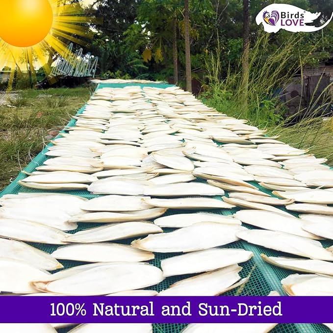 Birds LOVE 5.5-6″ Cuttlebone for Birds – 100% Natural Sun-Dried Calcium & Beak Conditioning Supplement for Parakeets, Budgies, Cockatiels, Finches & Canaries – 6 Pack with Holder – Made in Vietnam