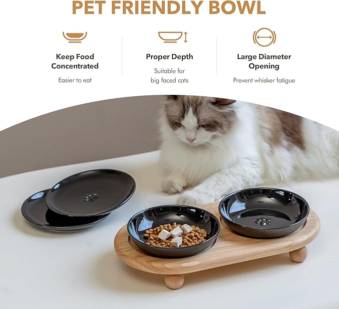 Havniva Elevated Cat Bowls, Ceramic Cat Food Bowl Whisker Friendly Cat Dishes, Kitten Food & Water Bowl with Two Heights Stand, Anti-Slip Raised Cat Food Plates