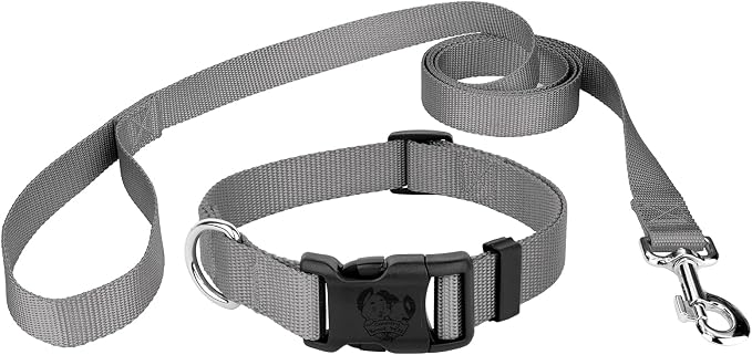 Country Brook Petz - Everyday Nylon Dog Collar and Leash - 10+ Cool Colors (3/8 Inch, 2XS, Silver)