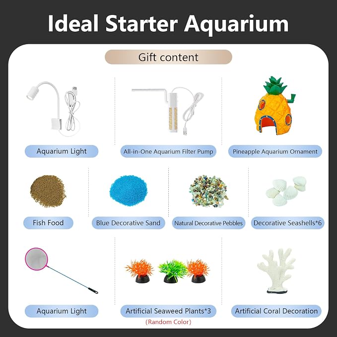 5 Gallon Fish Tank Aquarium Starter Kit with Filter and Light, All in One Small Fish Tank for Betta, Kids & Desktop Use, Self Cleaning Nano Aquarium with Lid(Large White)