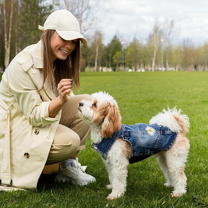 Pawstrip Dog Denim Jacket with Embroidered Daisy, Ripped Vintage Jean Vest for Small Dogs, Pugs, Chihuahuas, Spring Summer Fall Festival Outfit, Large (Fits Chest 15-16")
