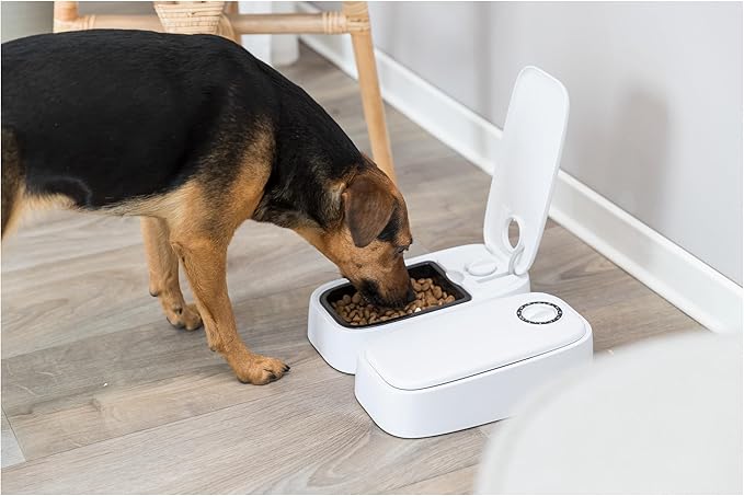 Trixie TX2 Automatic Food Dispenser, Two Food Bowls, Dual Timer, 48 Hour Timer, Battery Operated, White