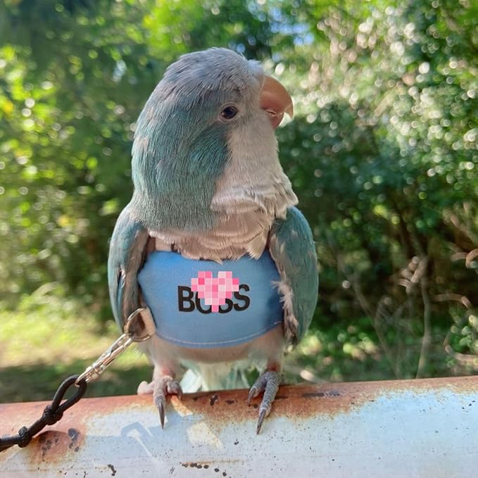 Bird Flight Harness Vest, Parrot Flight Suit with Leash, Bird Flying Clothes with Rope and Handle for Outdoor Activities (L)