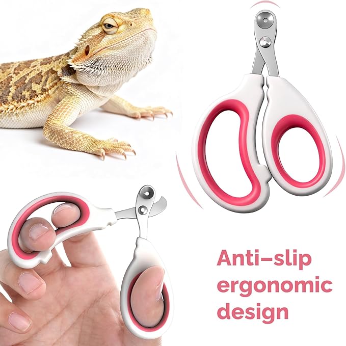Small Animal Nail Clippers, Stainless Steel Bearded Dragon Nail Clippers, Professional Reptile Grooming Tool with Precise Angled Edge, Cat Nail-Clipper, Claw Trimmer for Birds, Cat, Dogs (Red)