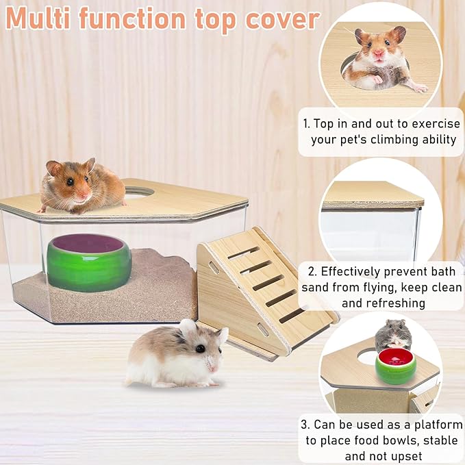 PINVNBY Hamster Sand Bath Box, Transparent Acrylic Sand Bath Shower, Gerbils Digging Room Container with Climbing Ladder and Ceramic Bowl, Litter Box for Hamsters Guinea Pigs Mice (Triangle)
