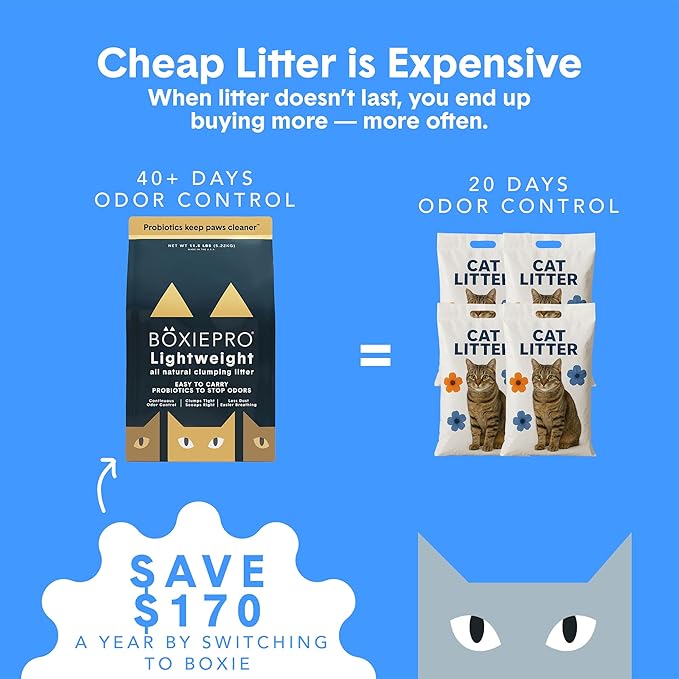 Boxie Probiotic Lightweight Cat Litter 40 Day Odor Control, Odor Eliminating Probiotics, 99.9% Dust Free, Multi-Cat, 11.5 lb