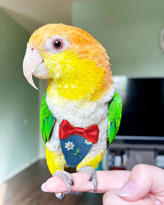 UKJENT Bird Diaper Protective Parrot Nappy 2 Pack, Reusable Flight Suit with Waterproof Inner Layer, Washable Cute Urine Wet Suit for Cockatiel Monk Parakeet Sun Parakeet Lory(S)