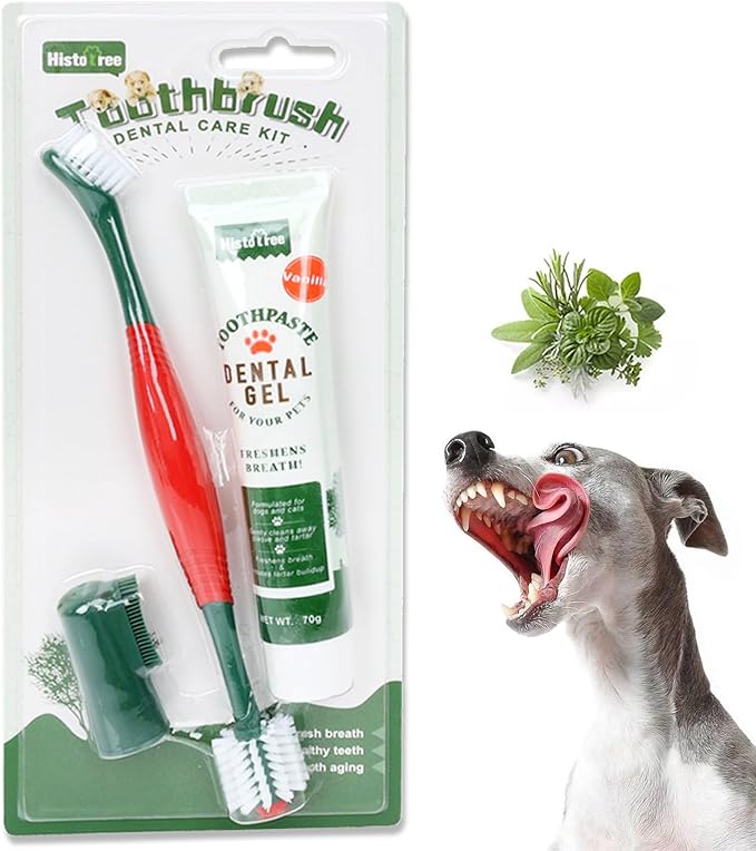 Dog Toothbrush and Toothpaste Kit Vanilla Dog Toothpaste(70g) Soft Nylon Double-Head Dog Toothbrush Green Dog Finger Toothbrush Puppy Tooth Brushing Kit Pet Dental Care Kit for Dogs and Cats