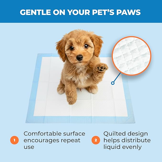 Best Pet Supplies Puppy Pads (22.5 x 22 Inches) - Disposable, Dog Training Potty, Super Absorbent Baby Blue Puppy Pee Pads for Dogs (300 Count)