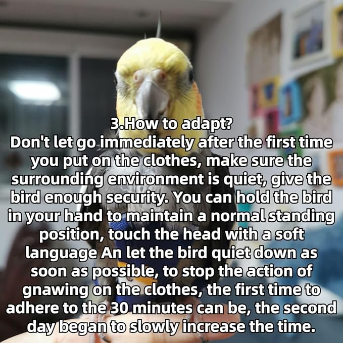 Bird Diaper Protective Parrot Nappy - 4 Pack, Reusable Flight Suit with Waterproof Inner Layer, Adjustable Shoulder Straps, Washable Cute Urine Wet Suit for Parakeet Conure (Pigeon)