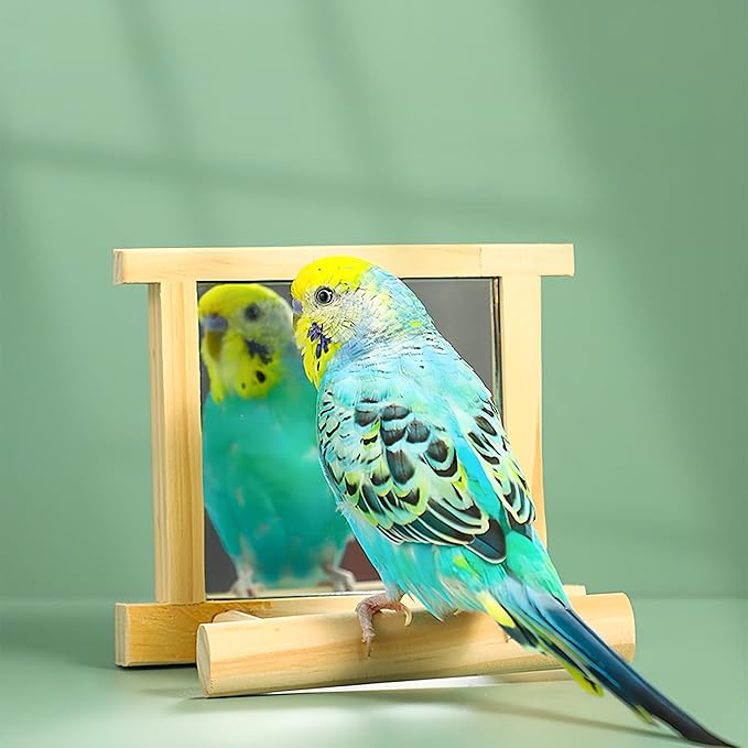 Natural Wood Bird Stand with Mirror, Perch and Swing Toy for Parakeets, Hummingbird, Lovebirds and Cockatoos (2 Pack)