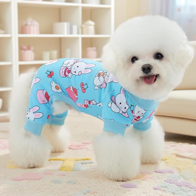 XPUDAC 4 Pieces Dog Pajamas for Small Dogs Boy Girl Soft Stretchy Pjs Onesies Puppy Clothes for Dog Cat Pet Outfits, XX-Large