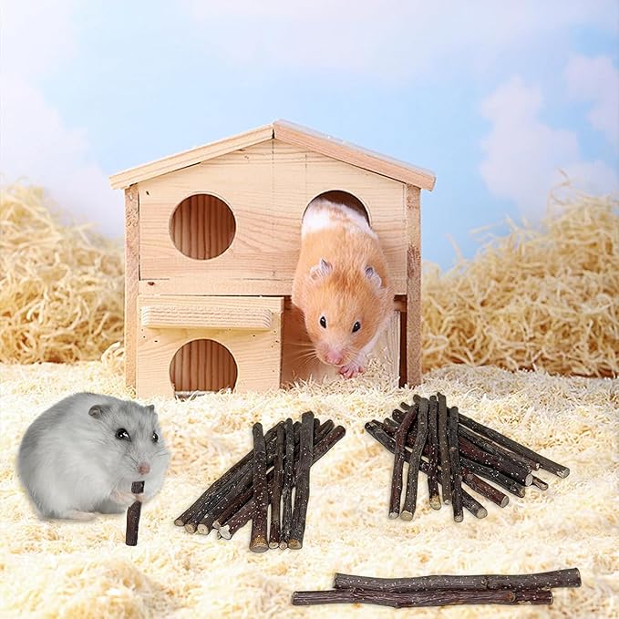 ANDES Natural Apple Sticks Small Animals Molar Wood Treats Toys Chinchilla Guinea Pig Hamster Rabbit Gerbil Parrot Bunny and Small Animals Chew Stick Toys Treats (Premium Apple Sticks -10.6oz)