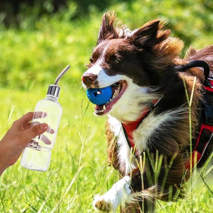 Baluue Small Animal Water Bottle 350ml Stainless Steel – No-Drip Leak-Proof Automatic Dispenser – for Wire Cages for Guinea Pigs Hamsters Rabbits Ferrets