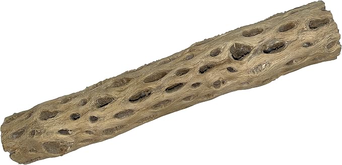 Awesome Aquatic XL Cholla Wood Tubes, Teddy Cane, 12" x 2–3" | XL Hideouts • Hollow tubes • Natural biofilm surface • Secure hideouts • Shrimp plecos hermit crabs reptiles • Natural décor