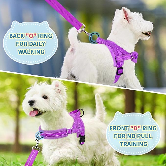 Lukovee No Pull Dog Harness and Leash Set, Soft Padded Small Dog Harness, Neck & Chest Adjustable Reflective Vest Puppy Harness with 4ft Lightweight Anti-Twist Dog Leash for Small Dogs (Purple, M)
