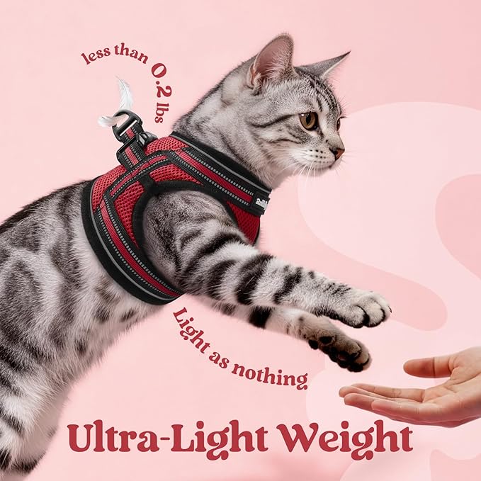 rabbitgoo Cat Harness and Leash Set for Walking Escape Proof, Adjustable Soft Kittens Vest with Reflective Strip for Cats, Comfortable Outdoor Vest, Red, M