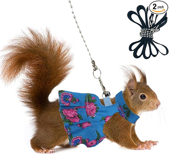 Guinea Pig Harness Skirt Clothes and Leash, Adjustable Hamster Ferret Harness and Leash Set, No Pull Walking Vest for Ferrets, Chinchillas and Similar Small Animals (Blue M)