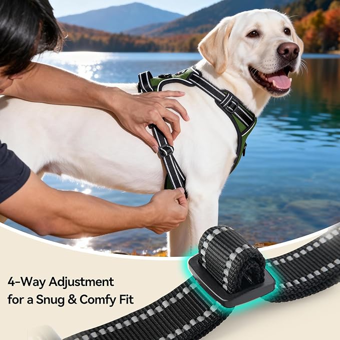 PHOEPET No Pull Dog Harness with Handle Reflective Padded Vest for Small Medium Large Dogs, Adjustable Puppy Harnesses with Front & Back Clip Easy Walking (M, Misty Green)