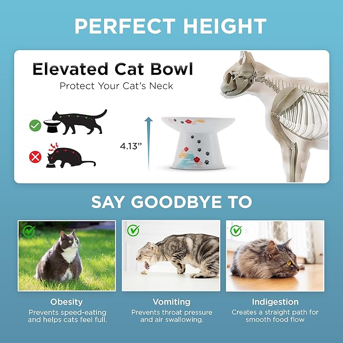 Necoichi Raised Cat Food Bowl – Ceramic Elevated Cat Bowl for Whisker & Neck Fatigue, Dishwasher Microwave Safe – Non-Slip & Anti Vomiting Ergonomic Design (Fuji, Extra Wide, 2-Cups Capacity).